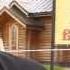Посади дерево Победы