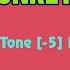 TONES AND I DANCE MONKEY Karaoke 12 Tones Lower Tone 5 Key Db