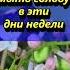 Почему нельзя мыть голову в эти дни недели