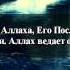 Мухаммад аль Люхайдан Сура ат Тагабун Взаимное обделение 5 15