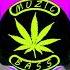 Il Bit 1 Shot 2 Waysberg Music Remix