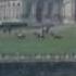 A View To A Kill Zorin S Horse Sale