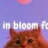 In Bloom Victor Lundberg Lyrics