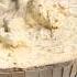 Creamy Creamy Gorgonzola Dolce Video By Makerandmonger Bluecheese Ytshorts