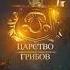 Анонс программы Царство грибов на телеканале Живая Планета