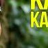 Карлос Кастанеда Отдельная реальность Книги Коротко