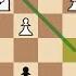 Three Check Speed Chess Tournament 205