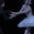 Swan Lake End Of Act II Lauren Cuthbertson The Royal Ballet