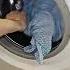MEGA Unbalanced Spin On Washer Indesit With Wet Towel Very Hard
