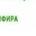 Живой концерт в ДКГорбунова Земфира аудио