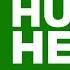 The Human Heart Heart Green Screen Animation Educational Videos