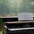Сборник красивых мелодий Пианино A Collection Of Beautiful Melodies Piano