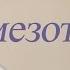 косметология курсы по мезотерапии СПб часть 9противопоказания мезотерапии абсолют 8812248 99 38