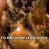 The Jungle Book 2016 Shere Khan Vs The Wolf Pack A Fiery Chase Begins