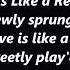 Oh My Love Is Like A Red Red Rose Scottish Burns Lyrics Words Sing Along Song