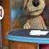 Talking Echo Talking Birds On Wire Vs Talking Tom And Ben News