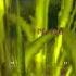 Loch Modan Music Ambience World Of Warcraft Leveling