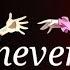 AMV I Will NEVER Forget