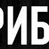 Записки Судмедэксперта 42 Грибок