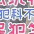核心体制的腐败 川普疯狂签署总统特赦令 贪污犯杀人犯全部特赦瞬间变良民 判刑30年拿到特赦直接出狱 美国真的有法制吗 历史上的美国总统特赦令 袁腾飞说 三权分立是最好的制度 没有独裁和腐败