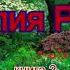 Юлия Рид У Панси книга 2 часть 1 аудиокнига