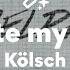 Kölsch Waste My Time Lyrics
