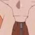 Naruto Shippuden Fight AMV