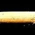 Funky Groove Drum Track 120 BPM Bass Guitar Backing Beat Drums Only 289