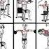 9 Ultimate Shoulder Workout To Transform Upper Body Workout Shoulderworkout
