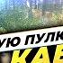 Какую пулю купить на кабана Обзор и тест лучших пуль 12 калибра Подготовка к охоте на кабана