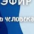 Вечная сущность человека 2 Исследователь Геннадий НЕПОКОЙЧИЦКИЙ Прямой эфир 19 октября 20 00 мск