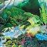 Jungle Of Joy