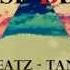 BeganieBeatz Tango Down Trap