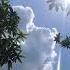Sab Tera Youtubeshorts Explore Page Aesthetic Song With Amazing Scene