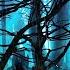 Share Of Thieves Sakit Samedov Dolya Vorovskaya Music Mafia Rainy Forest Night доля воровска