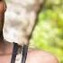 NABII MSWAHILI Part 1 By Madebe Lidai Official Bongo Movie