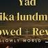 Yad Erika Lundmoen Intro Edited 12min Loop Slowed Reverb Music Slowlyworld