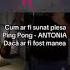 Andrei G Inima Imi Bate Ping Pong
