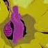 Pink Elephant S On Parade Slowed