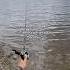 THIS Is Actually The BEST Sound In Fishing Fishing Shorts