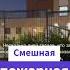 Забавная пожарная сигнализация в школе Москвы россия москва достопримечательности происшествия