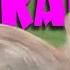 RUN RABBIT Poptwinz Rabbit Nature Outside Chase Fun Jokes Funny Lol Run Bunny Sunnyday