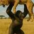 The Invincible Gorilla Gorilla Lion Wildlife Lion