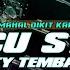 DJ STECU VELOCITY X TEMBAK LANGIT VIRAL TIKTOK TERBARU