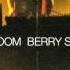 ברי סחרוף יומולדת Infected Mushroom Remix