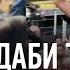 ХАБИБ и ИСЛАМ Абу Даби топит за Дагестан Махачев Vs Оливейра ДА КАКОЙ ТЕБЕ ХАБИБ UFC 280