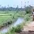 ப ரத கண ணம ம ப ர த த பன ம ன நட த த படம