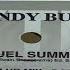 Randy Bush Cruel Summer Radio Mix 1997