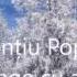 Laurentiu Popescu Ninge Cu Alai Muz Laurentiu Popescu Text Ala Soltan