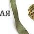 Эвкалиптовая чистка от паразитов Лучшая чистка от паразитов